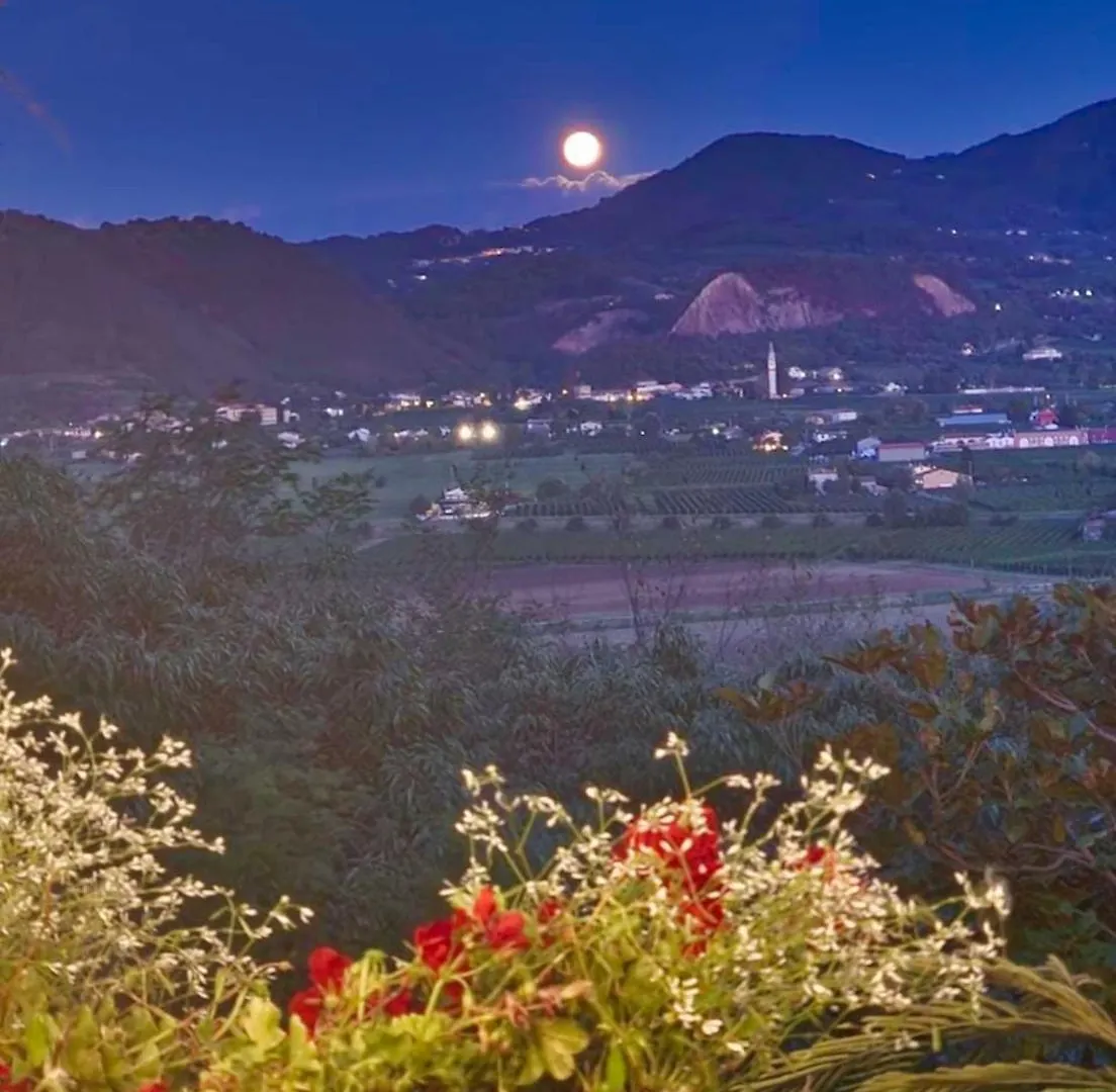 Vila Casa Dell'Uliveto Albettone